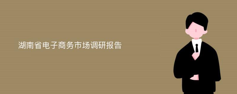 湖南省电子商务市场调研报告