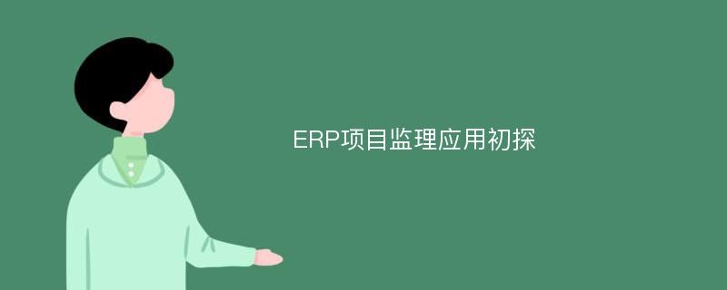 ERP项目监理应用初探